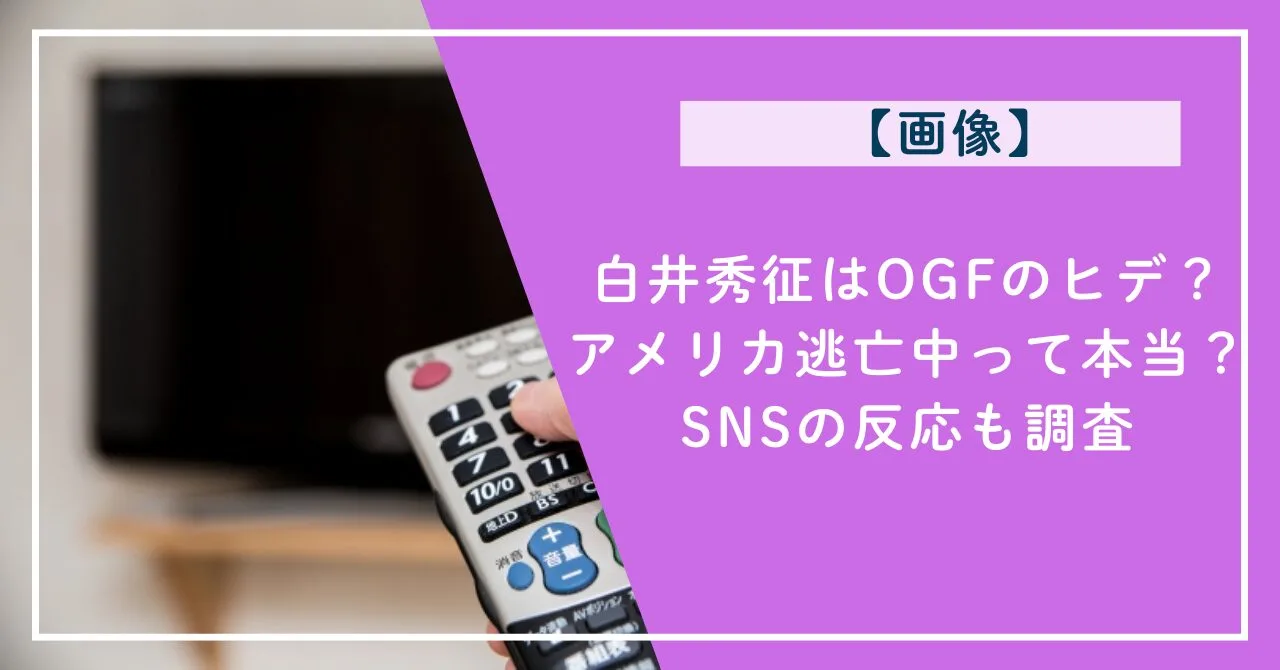 白井秀征はOGFのヒデ？ アメリカ逃亡中って本当？SNSの反応も調査